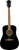 Fender FA-125 Acoustic