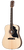 Gibson G-Bird Acoustic Electric