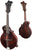 Eastman MD315 Mandolin Satin Brown