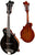 Eastman MD415 Black F Style Mandolin
