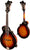 Eastman MD815/v F Style Mandolin