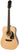 Epiphone DR-100 Acoustic - Natural image 0
