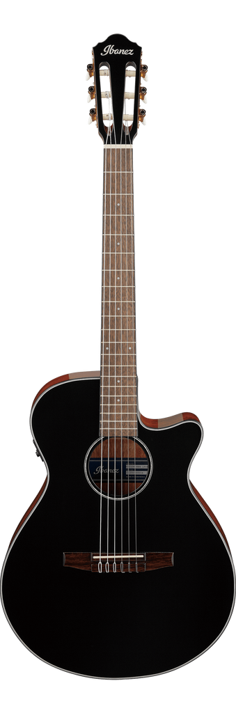 Ibanez AEG50N Acoustic-Electric Guitar - Black High Gloss