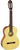 Ortega Family Series R121 Nylon String