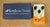 USED EarthQuaker Devices Special Cranker - White/Orange
