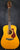 Hoffman Acoustic '79 - Natural