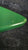 USED Gibson 1980 Explorer E/2 - Green